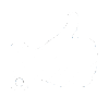 Icone validation